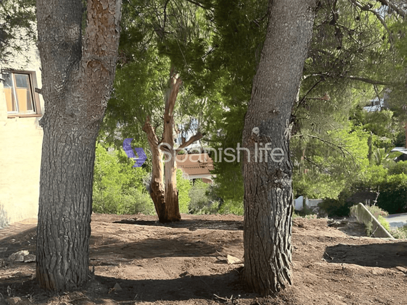 Foto: Casa 4 dormitorios 1172 m² en Calpe