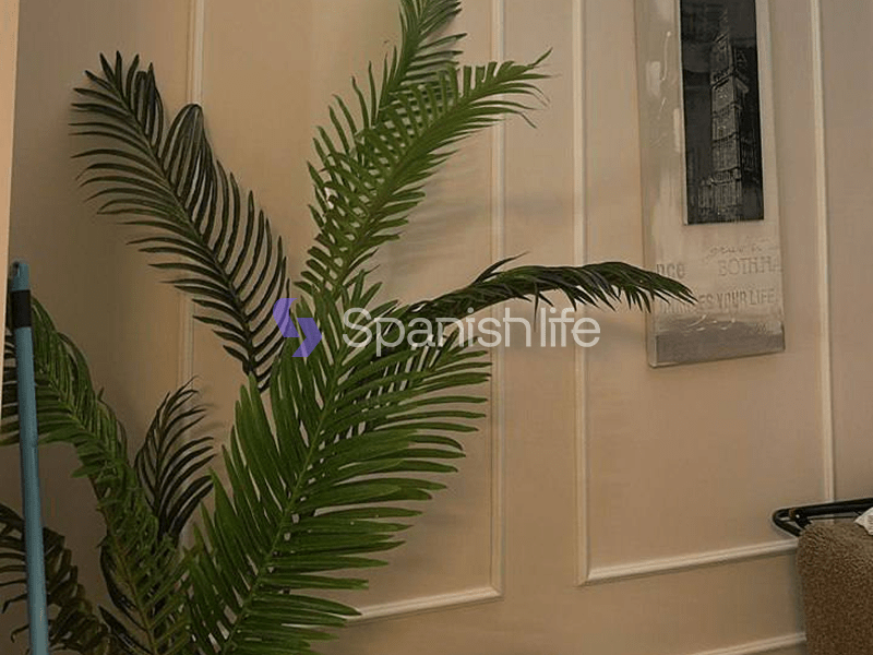 Фото: Квартира 3 спальни 82 м² в Валенсии