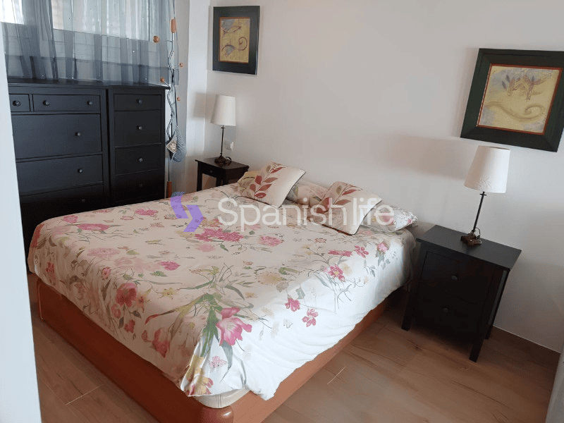 Foto: Estudio 1 dormitorio 68 m² en Alicante