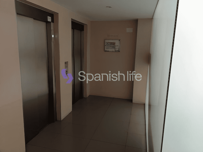 Foto: Estudio 1 dormitorio 68 m² en Alicante