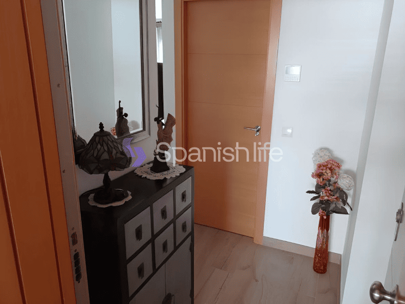 Foto: Estudio 1 dormitorio 68 m² en Alicante